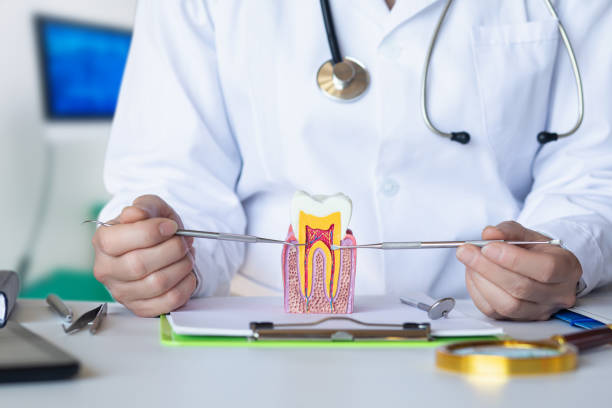 Best Emergency Gum Treatment in Ara, AL